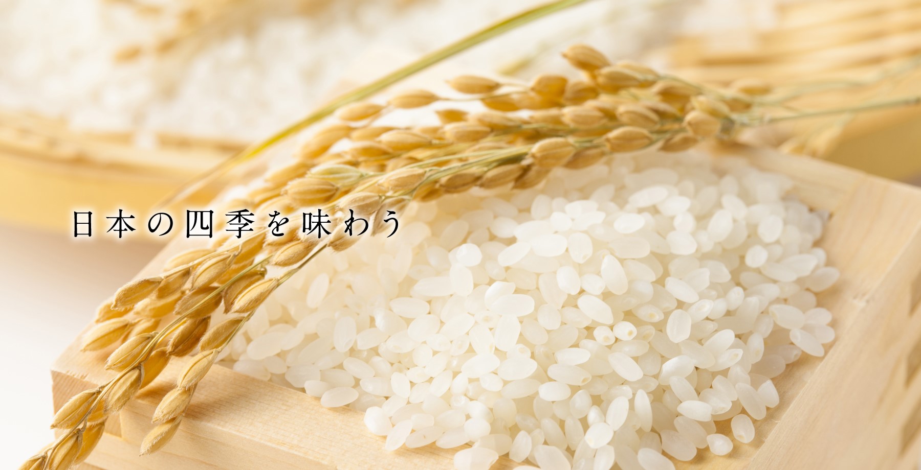 山和食品 | グリーンハウスフーズ